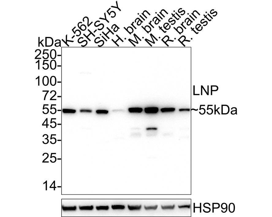 HA610188_1.jpg
