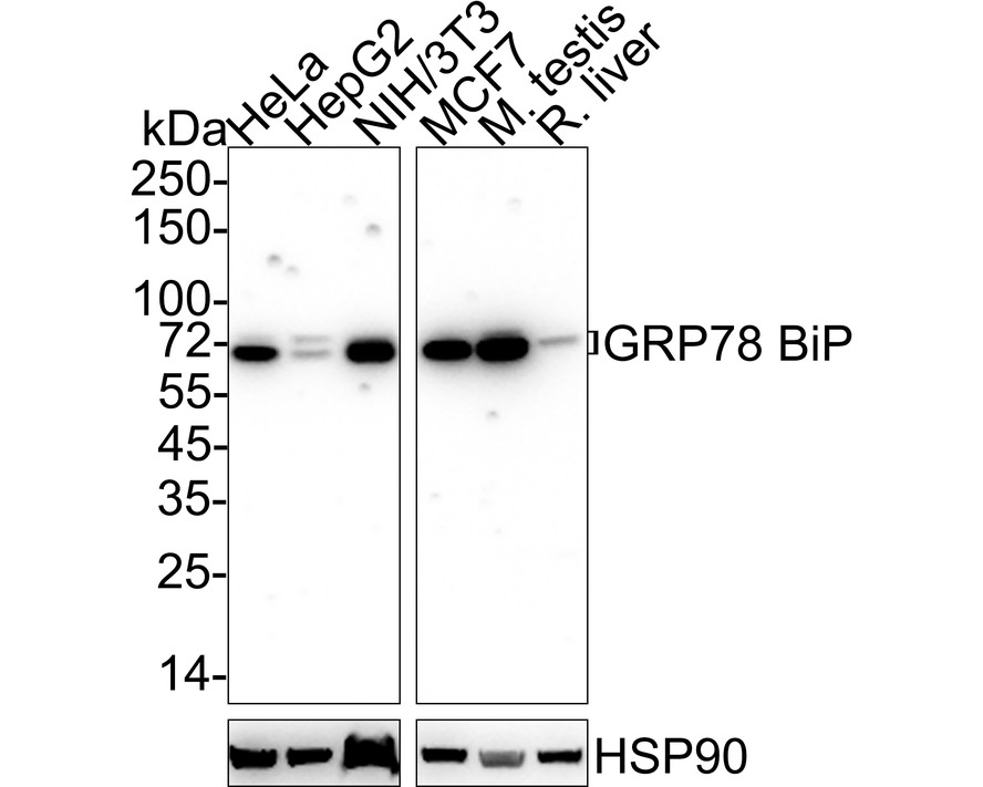 HA610190_1.jpg