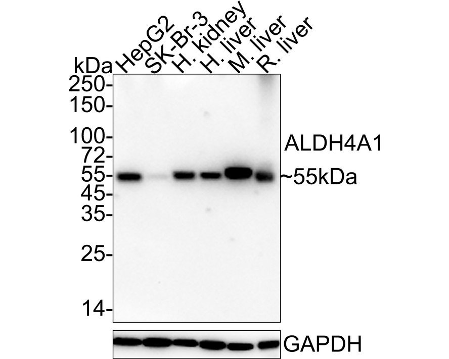 HA610192_1.jpg