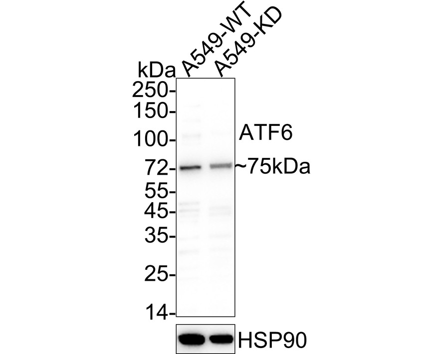 HA610193_3.jpg