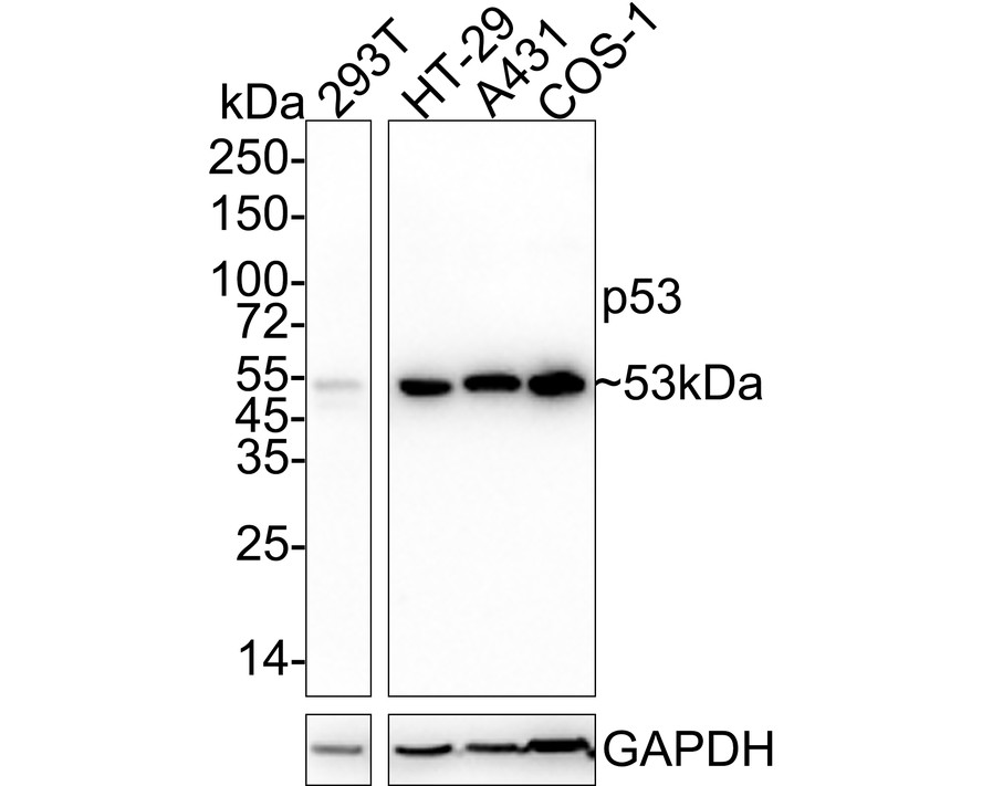 HA610194_1.jpg