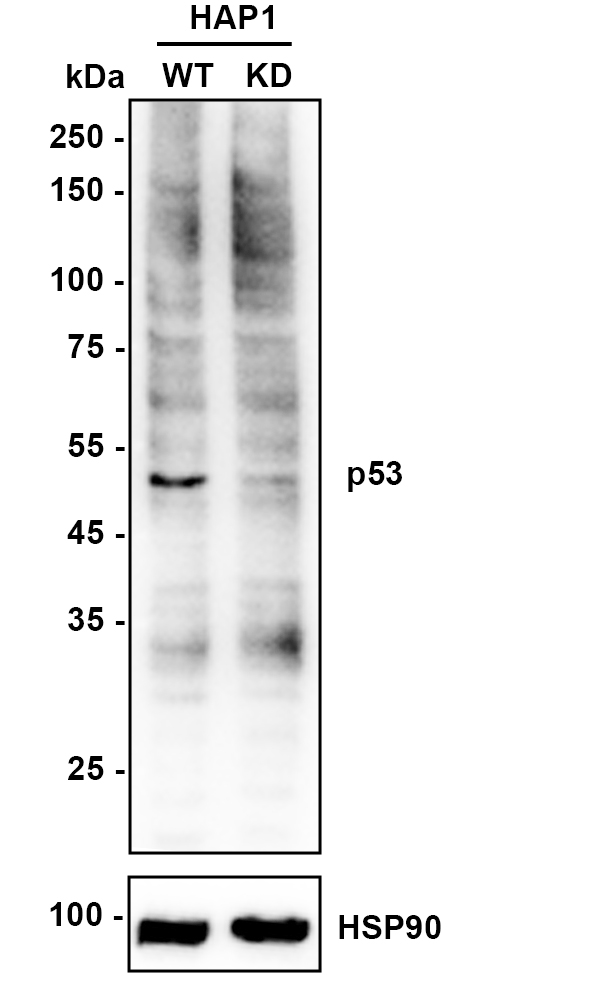 HA610194_2.jpg