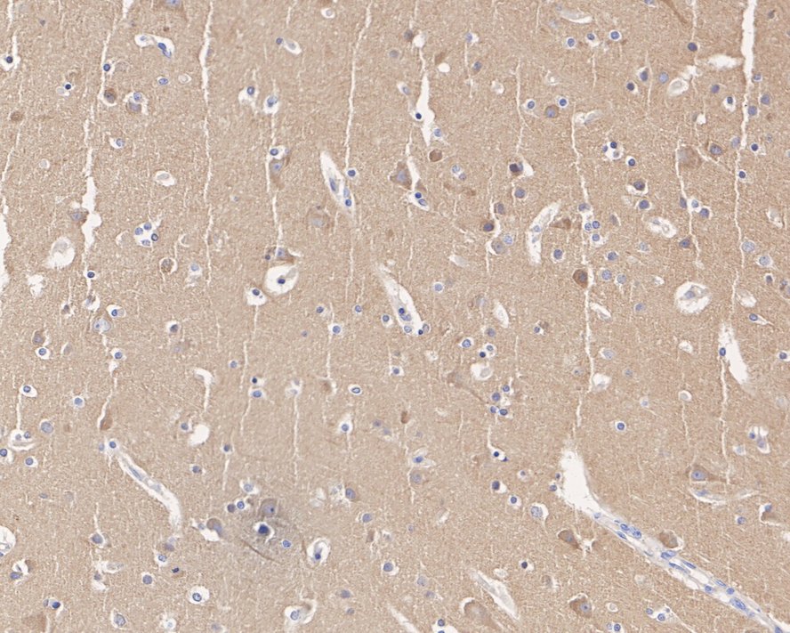 HA610197_2.jpg