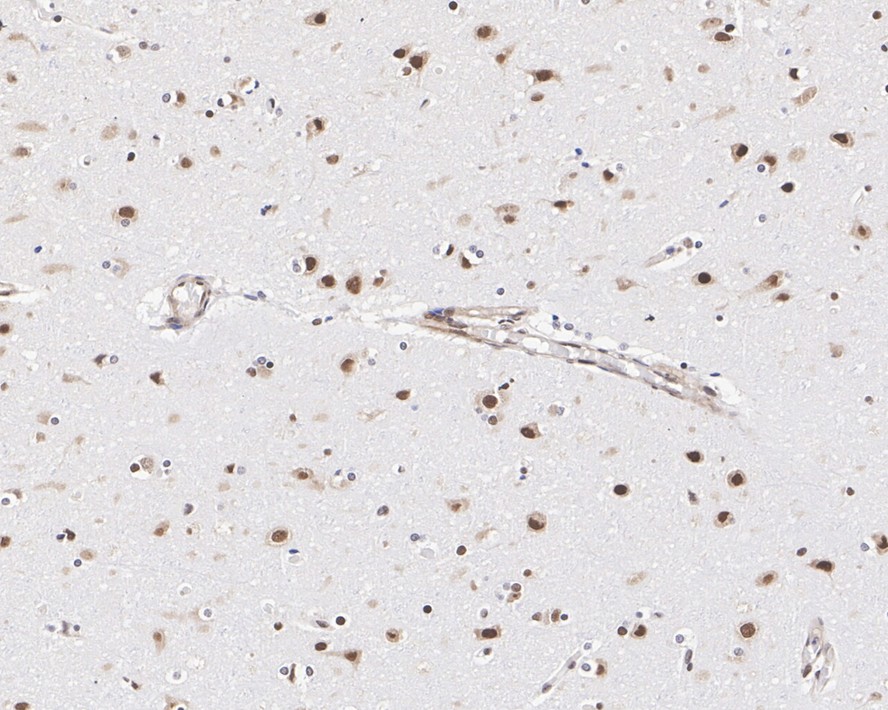 HA610199_3.jpg