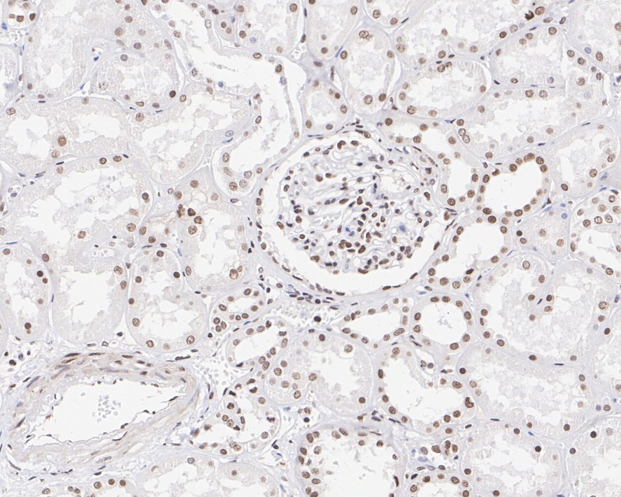 HA610199_4.jpg