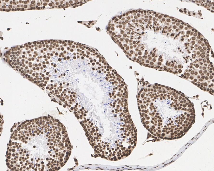 HA610203_5.jpg