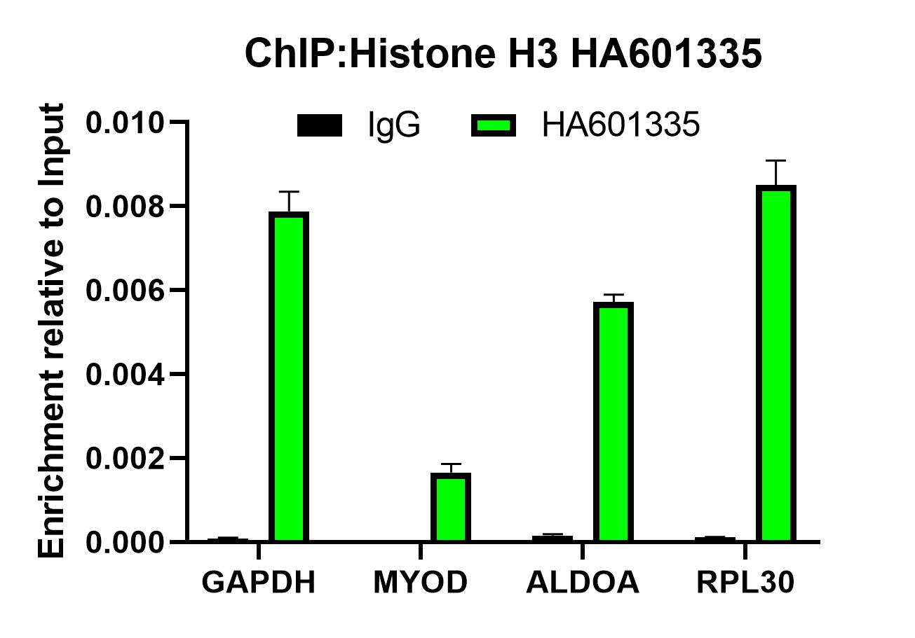 HA610203_8.jpg