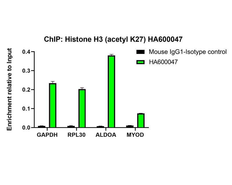 HA610204_6.jpg
