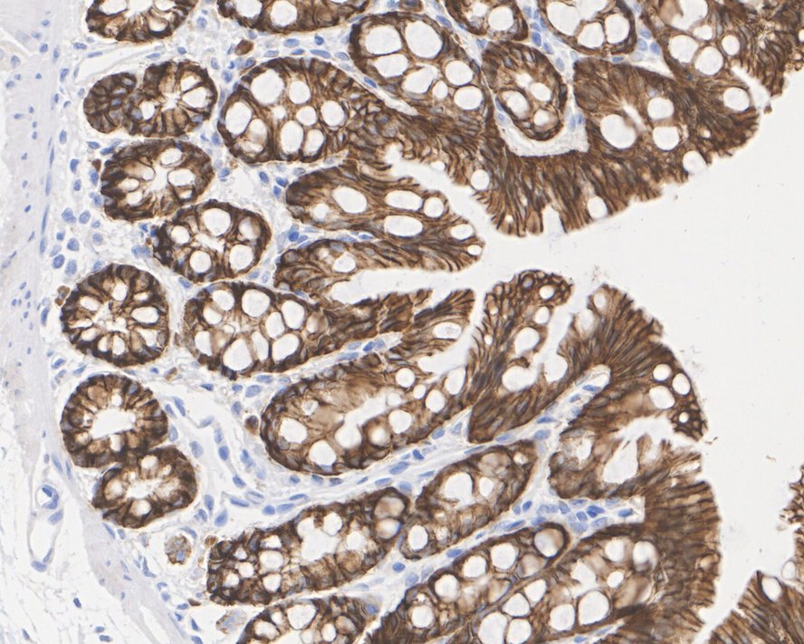 HA610206_6.jpg
