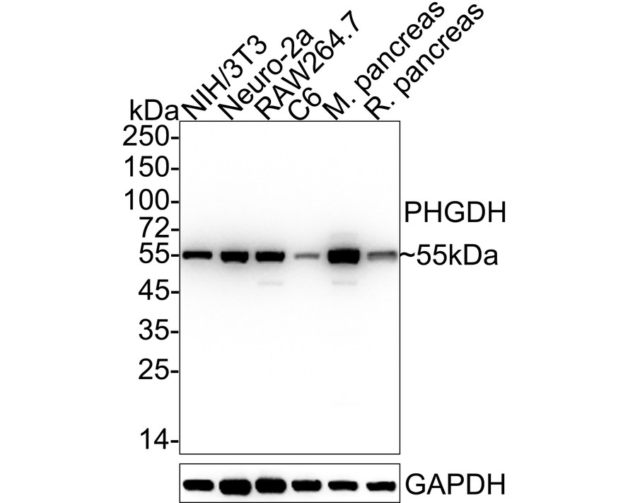 HA610207_3.jpg