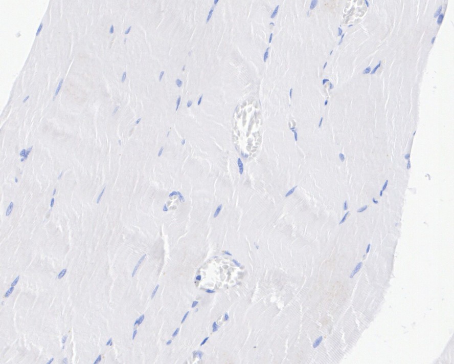 HA610207_9.jpg