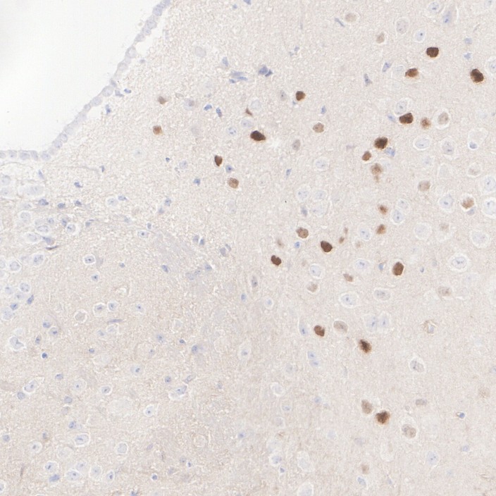 HA610219_4.jpg