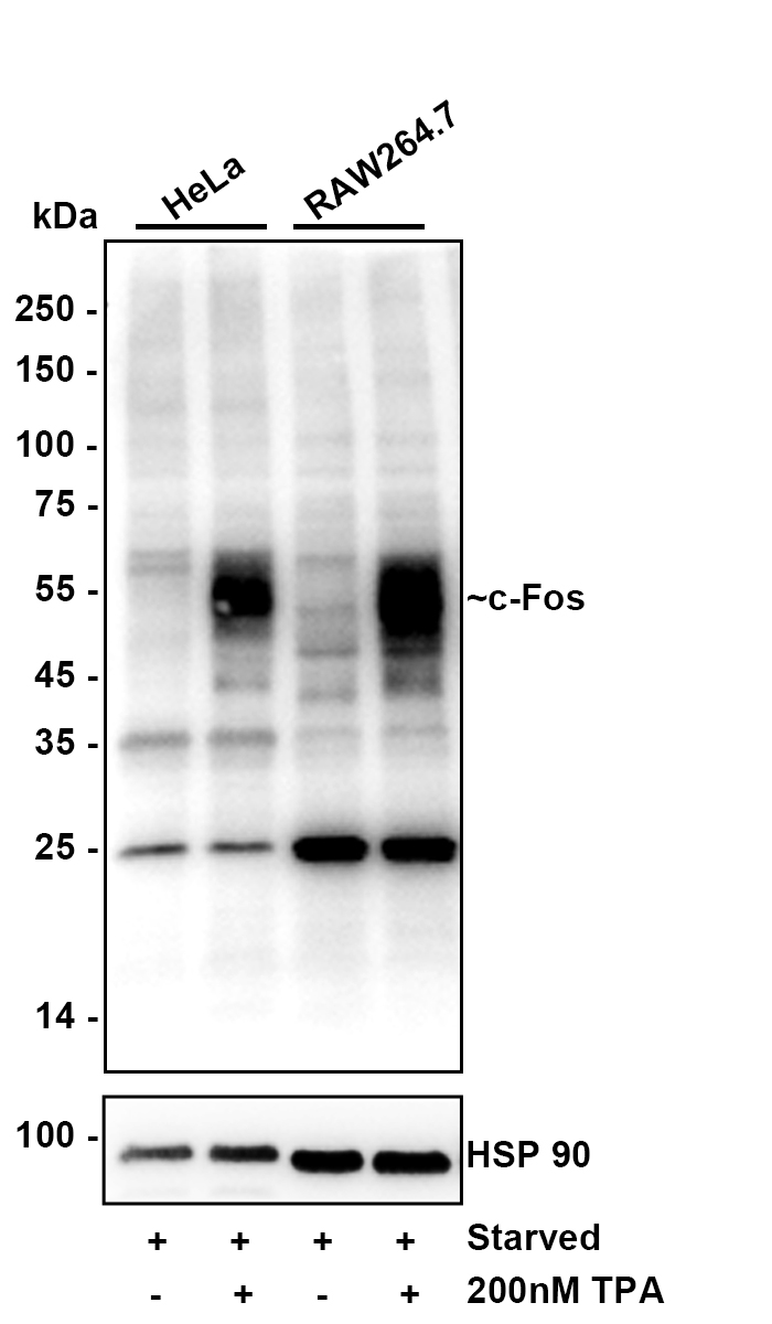 HA610220_3.jpg