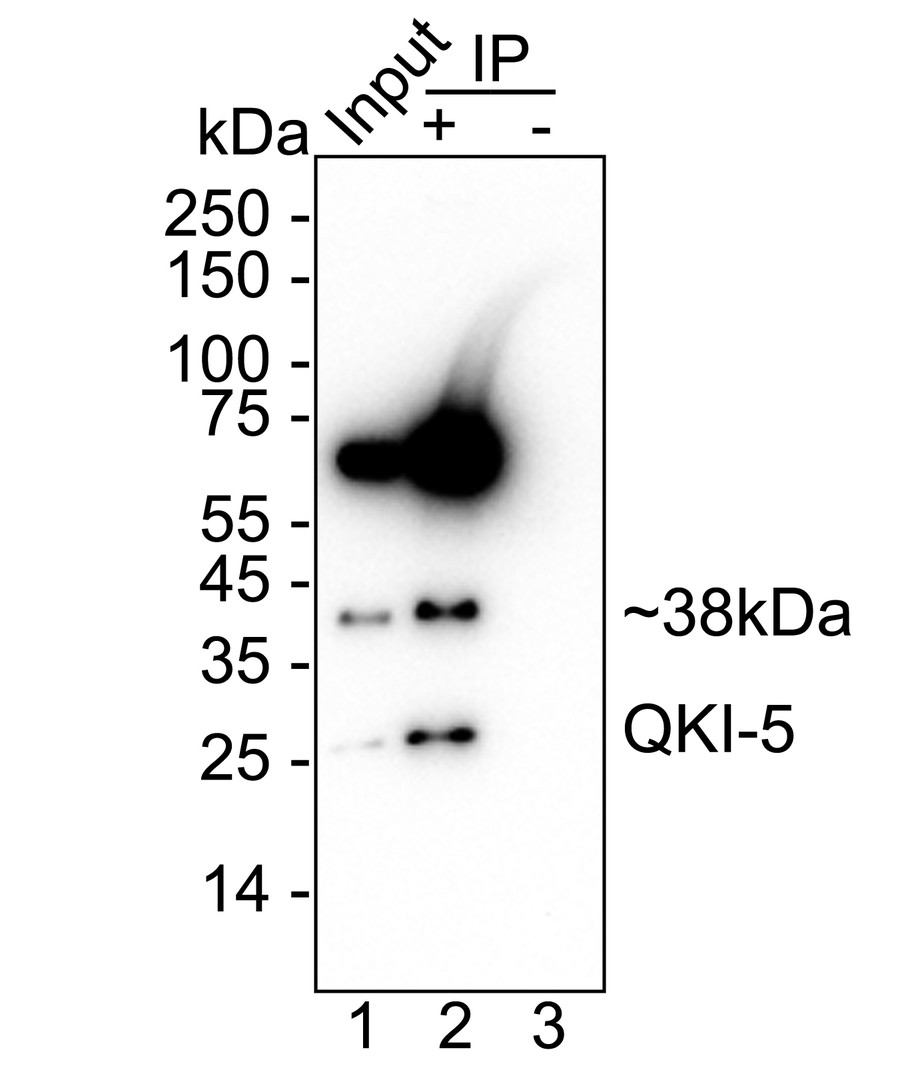 HA610223_6.jpg