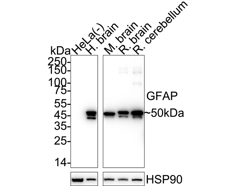 HA610225_3.jpg