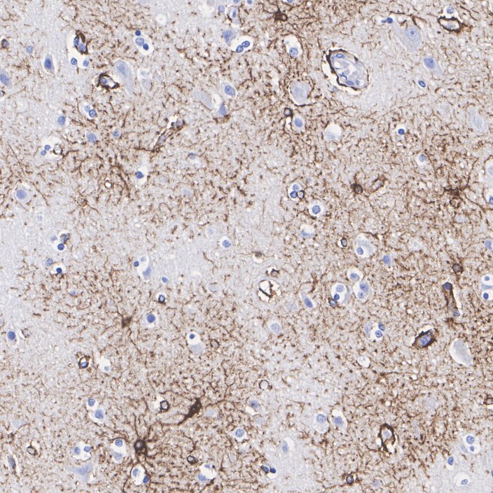 HA610225_4.jpg