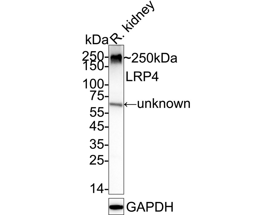 HA610226_1.jpg