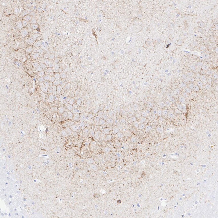 HA610228_5.jpg