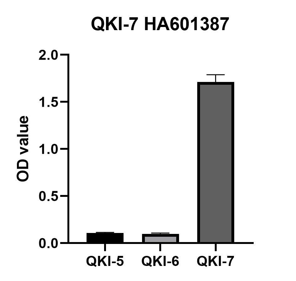 HA610230_2.jpg