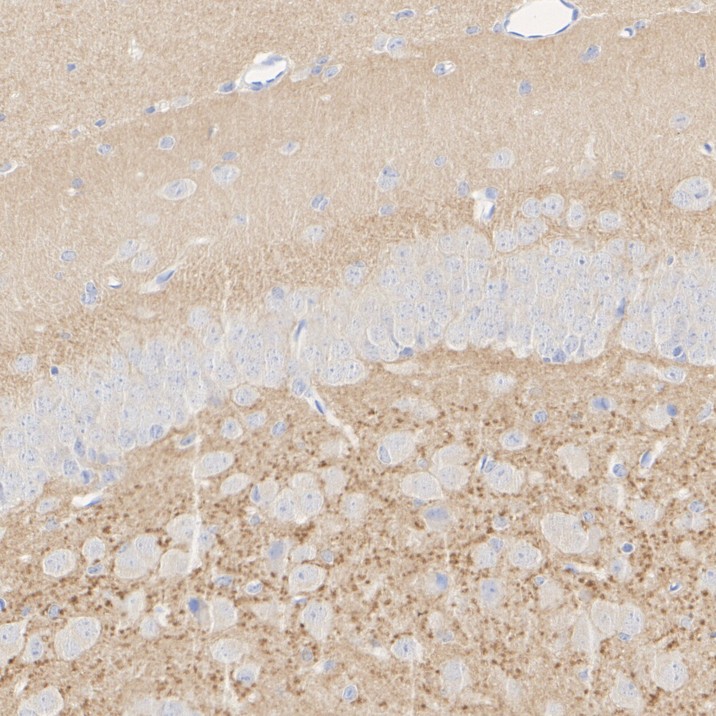 HA610234_8.jpg