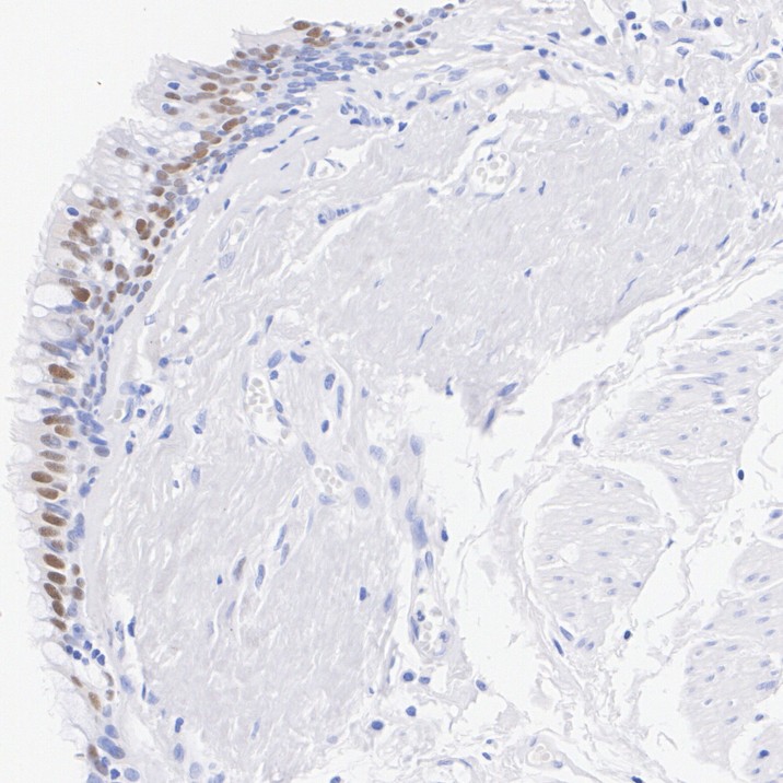 HA610236_7.jpg