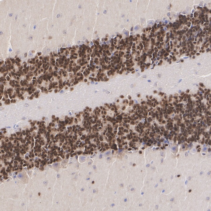 HA610237_4.jpg