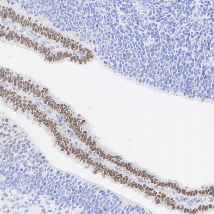 HA610239_3.jpg