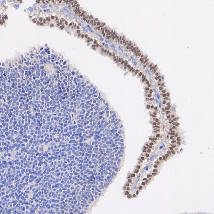 HA610239_4.jpg