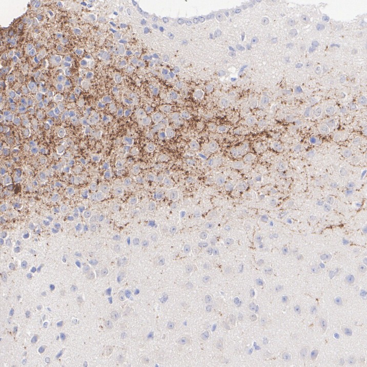 HA610241_3.jpg