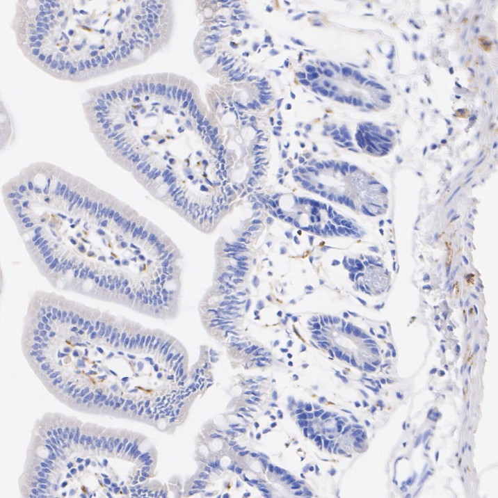 HA610241_4.jpg