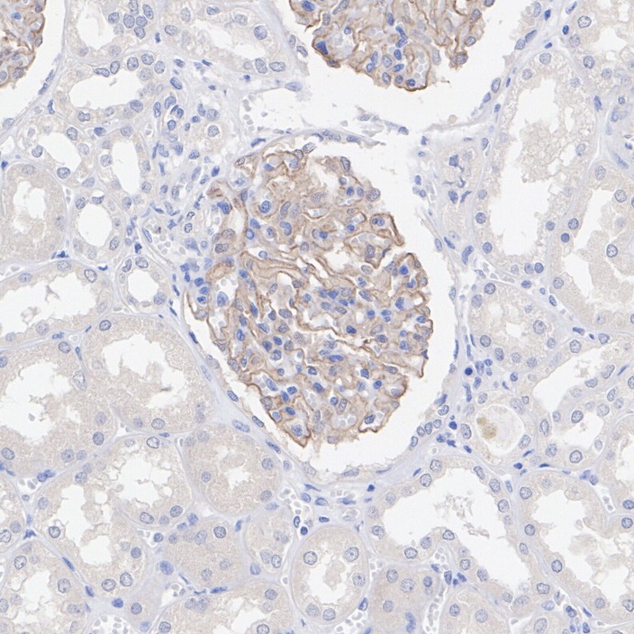 HA610242_3.jpg
