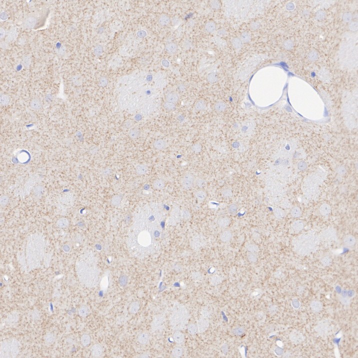 HA610244_4.jpg