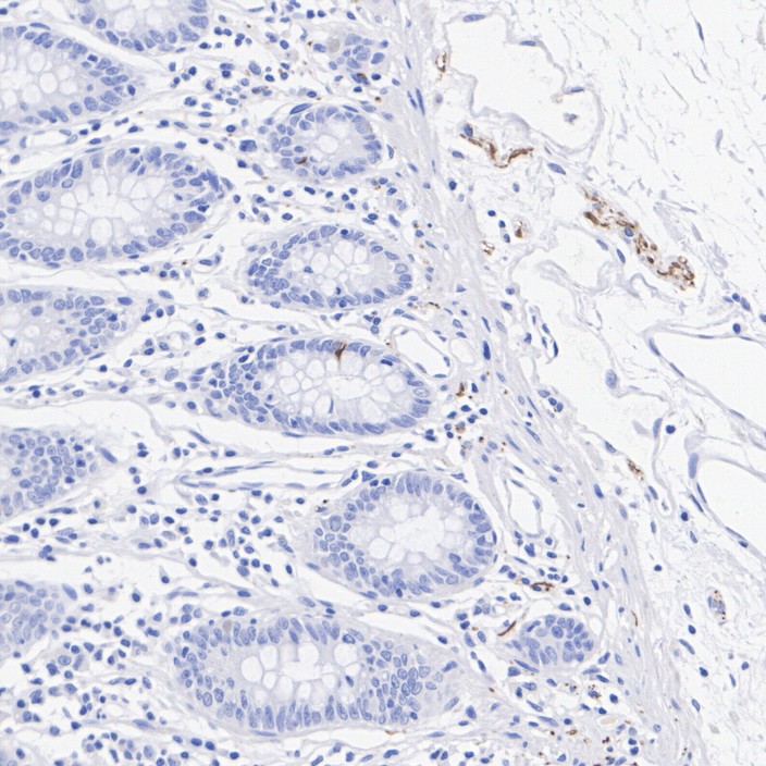 HA610245_2.jpg