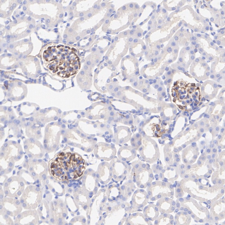 HA610246_7.jpg
