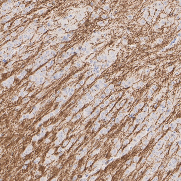HA610247_4.jpg