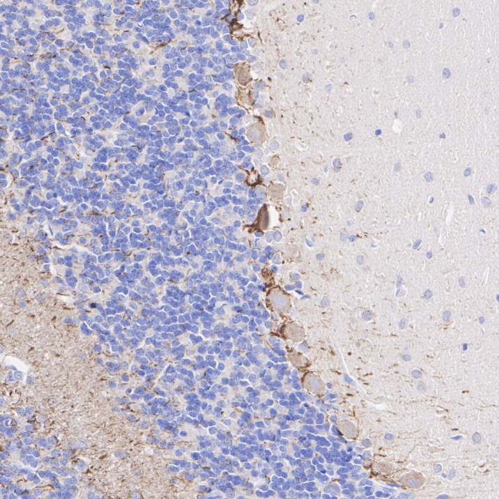 HA610248_4.jpg