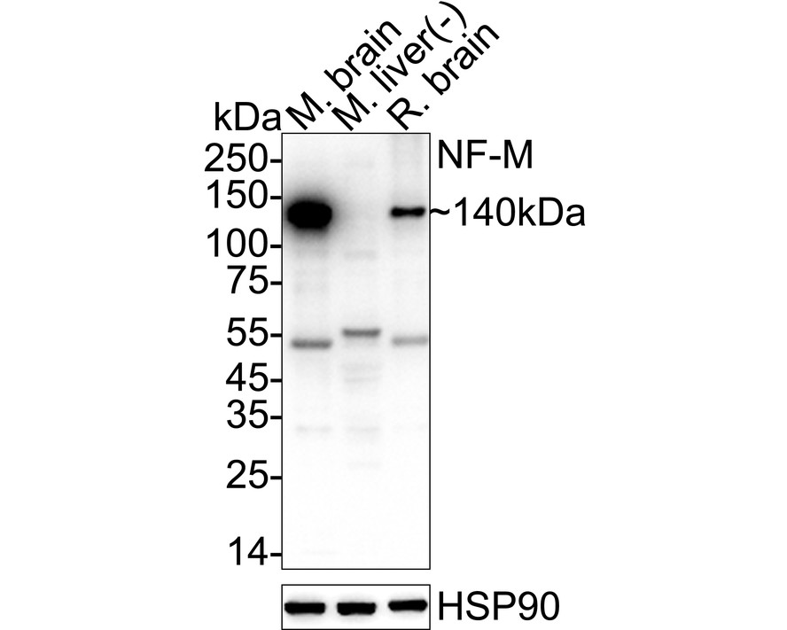 HA610248_5.jpg