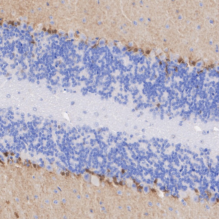 HA610251_3.jpg