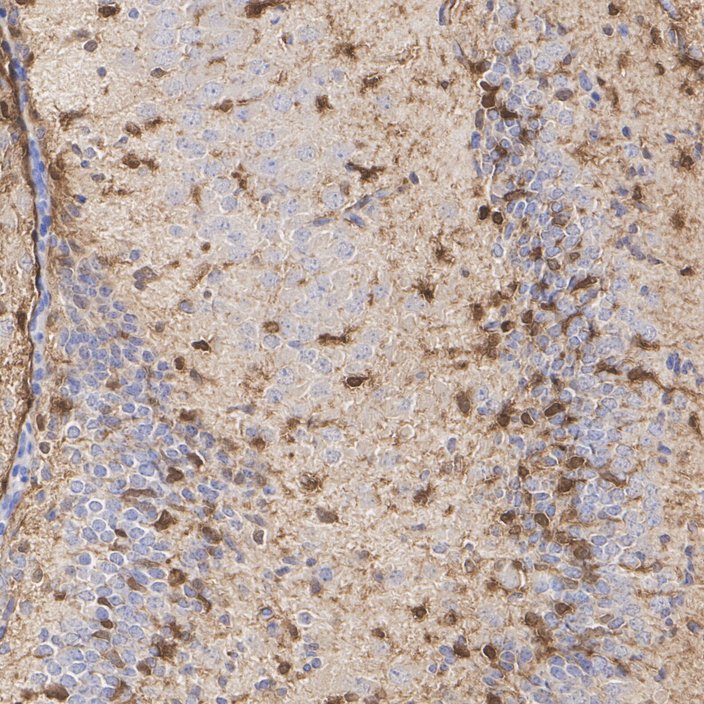 HA610251_4.jpg