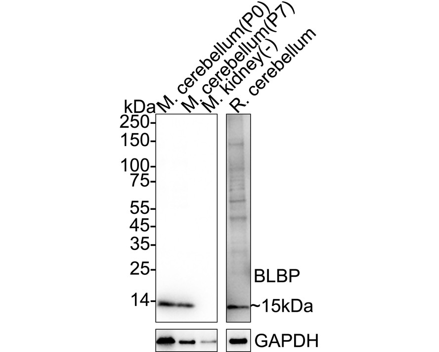 HA610251_5.jpg