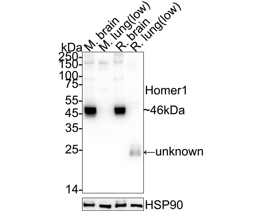 HA610255_5.jpg