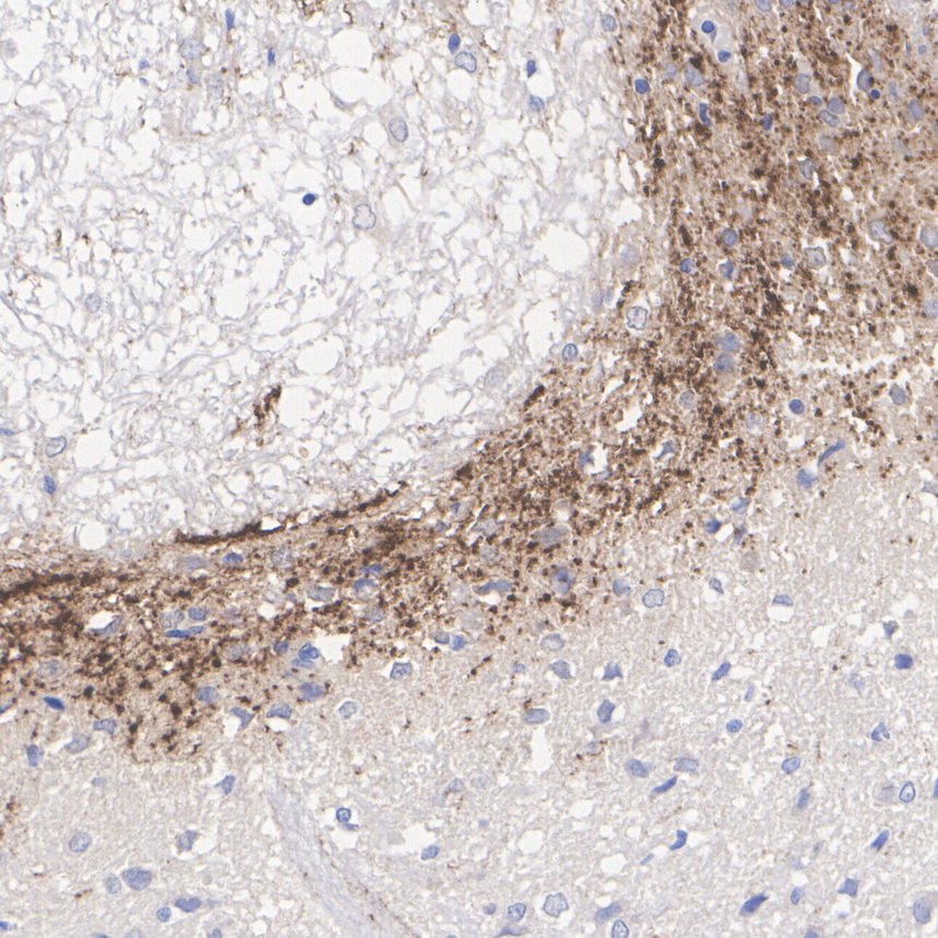 HA610263_3.jpg