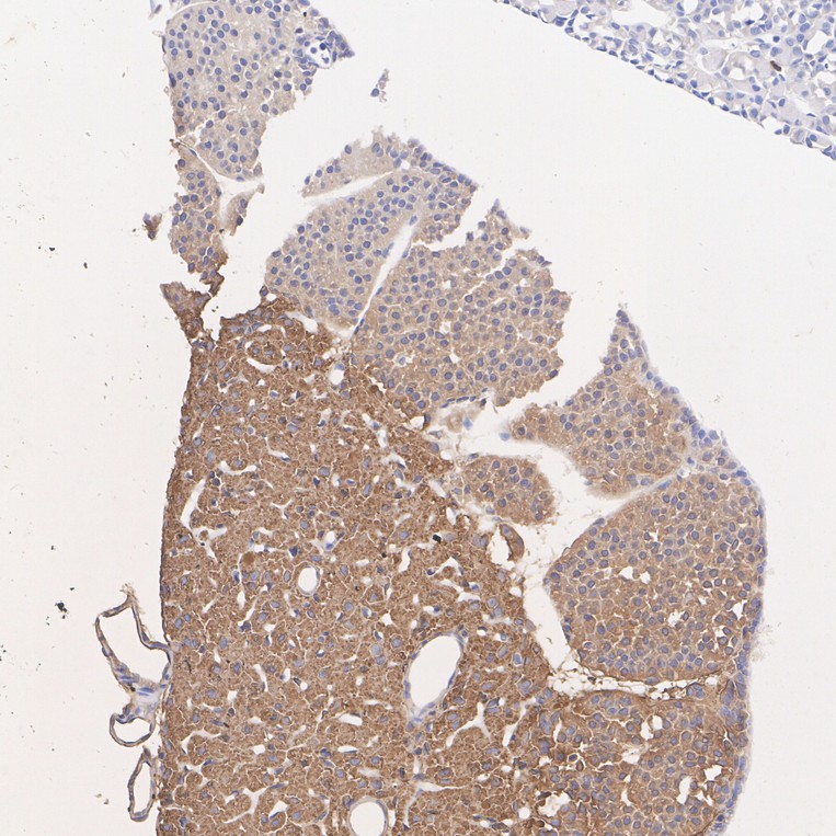 HA610266_6.jpg