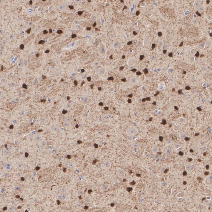 HA610269_3.jpg