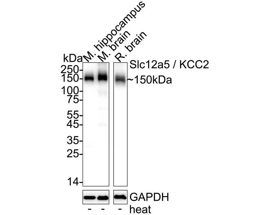 HA610271_4.jpg