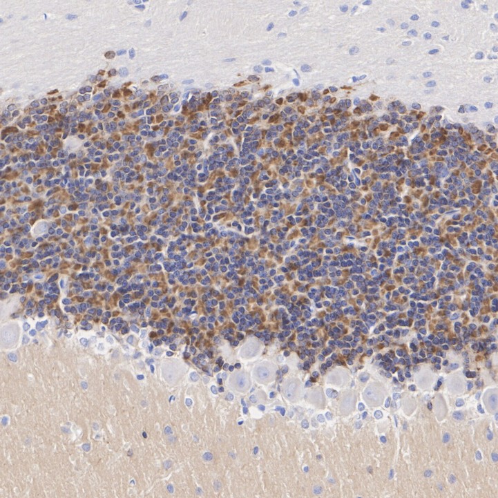 HA610272_3.jpg