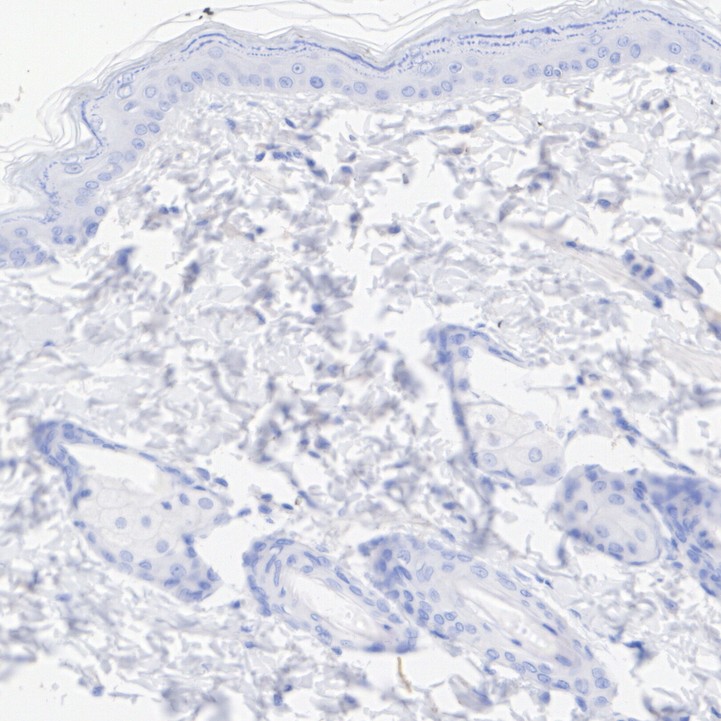 HA610273_2.jpg