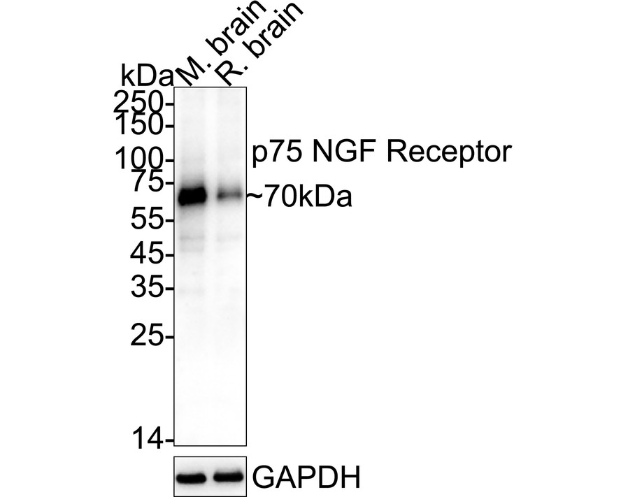 HA610274_3.jpg