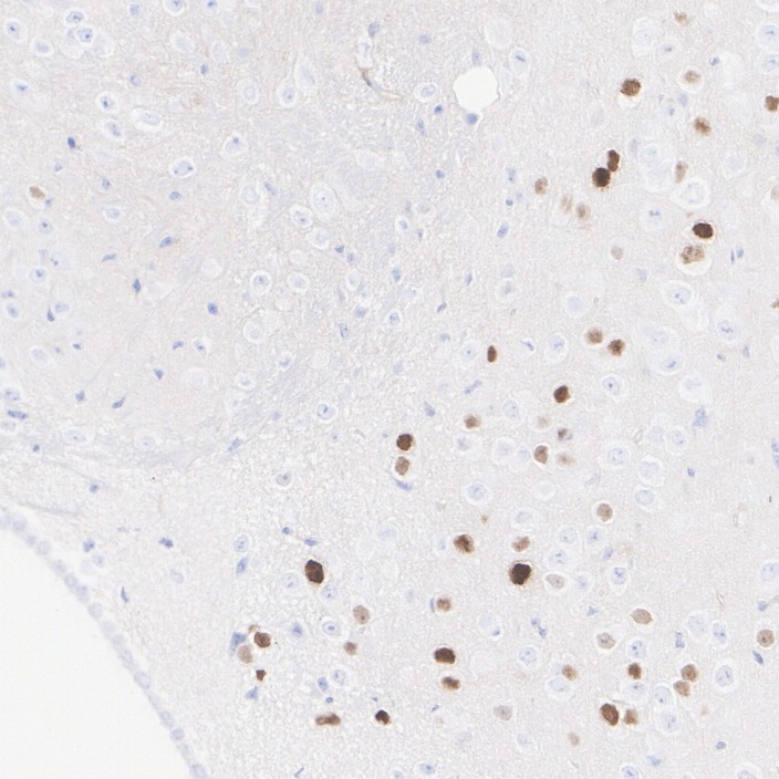 HA610275_3.jpg