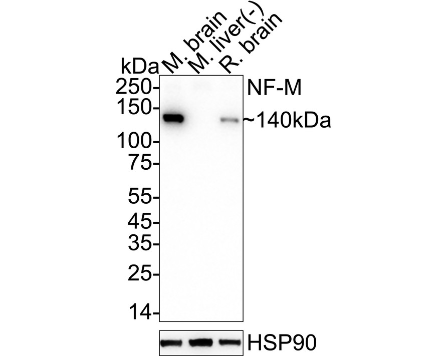 HA610278_6.jpg